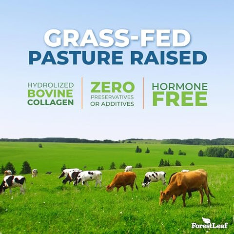 Multi Collagen Pills – Colágeno para Homens | Fortaleça sua pele e cabelo | 100% Natural | 120 cápsulas - ForestLeaf