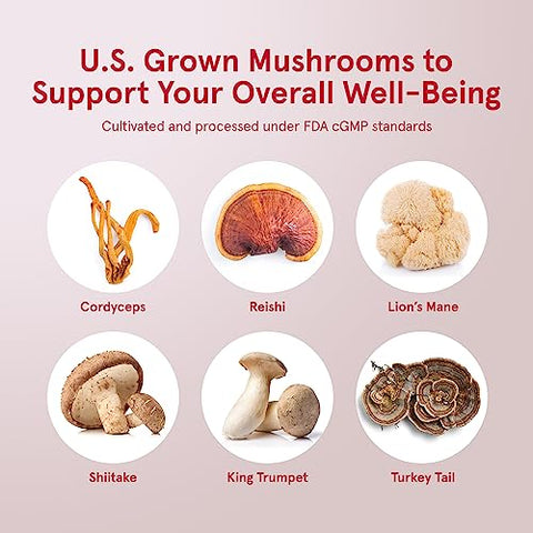 Energy Optimizer com Cordyceps, Reishi, Lions Mane, Shiitake, King Trumpet e Turkey Tail Mushrooms, Suplemento Dietético com Ashwagandha, 90 Cápsulas Vegetarianas - Jarrow Formulas