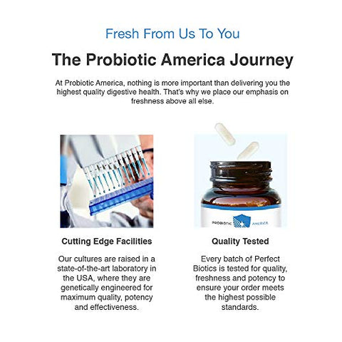 SHENDER - Probiotic America® Perfect Biotics 30 Bilhões UFC Digestivo – Melhorando a Saúde Digestiva com Probióticos de Alta Potência