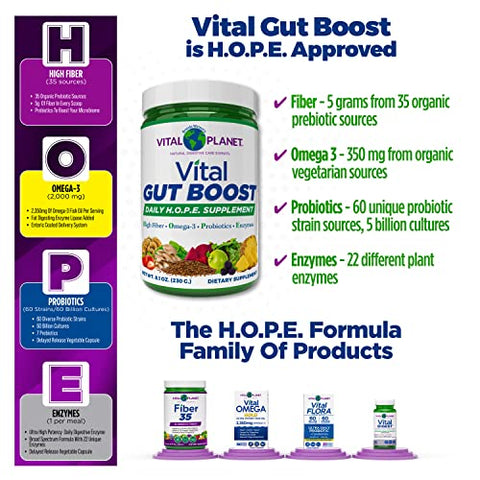 Vital Gut Boost Powder by Brenda Watson: Suplemento Gut Check Hope com Fibra 35, Óleo de Ômega 3, Probióticos e Enzimas Digestivas, 230g, 30 Porções - Vital Planet