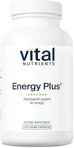Energy Plus | Suporte Energético Herbal Não Estimulante | Estimula o Mental | 60 cápsulas - Vital Nutrients