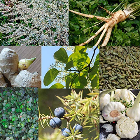 SpeedyVite - Limpeza e Desintoxicação Clássica do Fígado/Vesícula Biliar (120 cápsulas vegetais) – Cardo Mariano, Raiz de Dente-de-leão e Mais