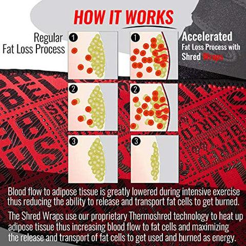Shred Wraps para Braços – Termogênicos para Emagrecimento – Faixas Premium que Queimam Gordura com Tecnologia Redutora – Modelador e Tonificador de Braços - Iron Bull Strength