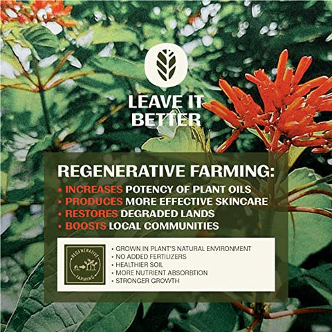 Thrive Natural Care - Protetor Solar Thrive Reef Safe SPF50 – Hawaii 104 Compatível com Recifes – Protetor Solar Mineral Não-Nano Óxido de Zinco – Vegano, (165 ml (1 unidade))