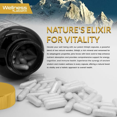 WELLNESS LABSRX - Shilajit Puro Himalaia Orgânico Cápsulas 240 Unidades – 15.000mg – Shilajit para Homens – Marca Shilajit
