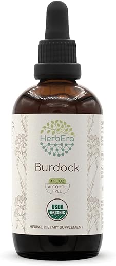 HerbEra - Burdock B120 Extrato Herbal Sem Álcool, Concentrado e Orgânico (Arctium Lappa) 120ml