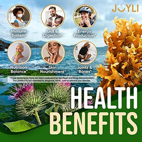 JOYLI Nutrition - Gomas de Algas Marinhas – Gomas de Algas Irlandesas para Adultos | Marca: Sea Moss Gummies