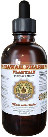 Extrato Líquido de Plantago Major, Tintura Herbal, Hawaii Pharm, EUA, 60 ml