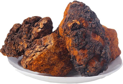 UNKNOWN - Chá de Chaga Orgânico Bai Hua Rong (250g) – Cogumelo Chaga Orgânico