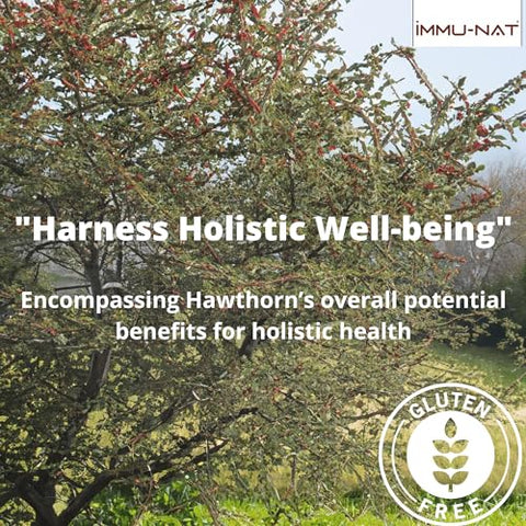 Immu-nat - Hawthorn Berry Líquido (250ml) – Cardiovascular