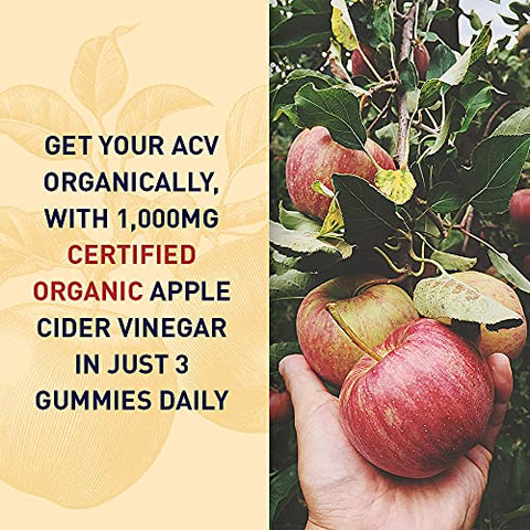 mykind Organics Gomas Energéticas de Vinagre de Maçã – ACV Orgânico da USDA com Vitaminas B12, Coffeeberry e Chá Verde – 63 Gomas Veganas para Energia - Garden of Life