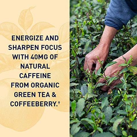 mykind Organics Gomas Energéticas de Vinagre de Maçã – ACV Orgânico da USDA com Vitaminas B12, Coffeeberry e Chá Verde – 63 Gomas Veganas para Energia - Garden of Life