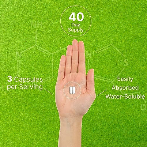 Citicoline CDP Choline 1.000mg por Porção 120 Cápsulas – Suplemento Extra Forte de Colina – Propriedades de Vitaminas B Nootrópicas – Promove a Saúde Cerebral, Memória - DEAL SUPPLEMENT