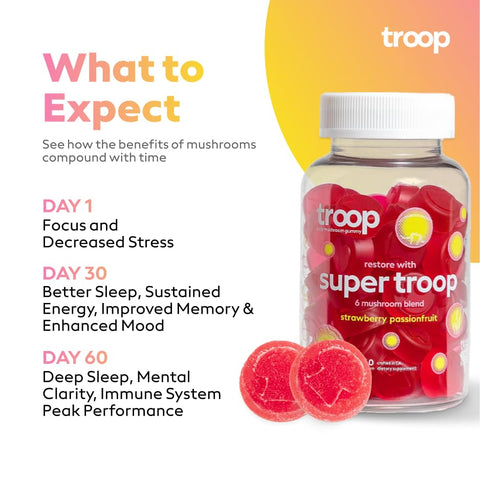 Daily Super 6 Mushroom Blend – Imunidade, Vitalidade, Humor, Equilíbrio, Saúde Intestinal, Energia – Suplemento Restaurador com Blend de Frutas Triplamente Extraídas – Vegano, Delicioso – 100g - Troop