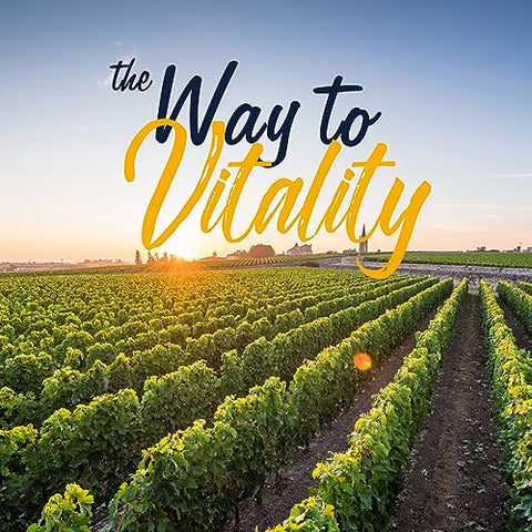 Probióticos 120 Bilhões UFCs | 36 Cepas, com Prebióticos – Saúde Digestiva e Imunidade Reforçada - VITALITOWN