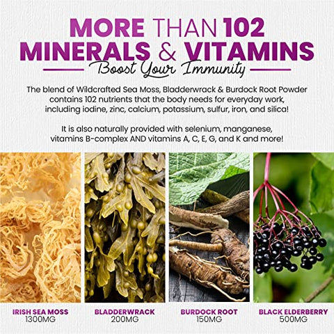 Sakoon nutrition - Sakoon Nutrition Gomas de Algas Marinhas Irlandesas com Sabugueiro – 60 gummies