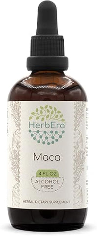 HerbEra - Maca B120 Extrato Herbal Sem Álcool, Tintura Super Concentrada de Maca (Lepidium Meyenii) (120 ml)