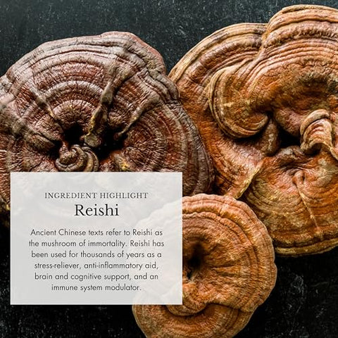 Anima Mundi Apothecary - Anima Mundi Cogumelo Orgânico – Cacau com Cogumelos Adaptogênicos – Pó de Cogumelo Revigorante com Lion’s Mane, Shiitake, Chaga – 100g