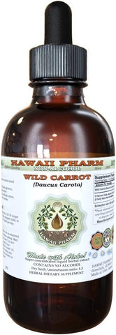 Extrato Líquido de Cenoura Selvagem Sem Álcool, Glicerito de Semente Seca de Cenoura Selvagem (Daucus Carota) Suplemento Herbal Natural, Hawaii Pharm, EUA 60 ml