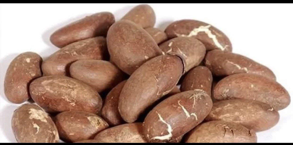 Bitter Kola Nut - Garcinia Kola Cola Amarga 454g – Noz de Cola 1 Lb