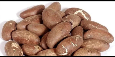 Bitter Kola Nut - Garcinia Kola Cola Amarga 454g – Noz de Cola 1 Lb