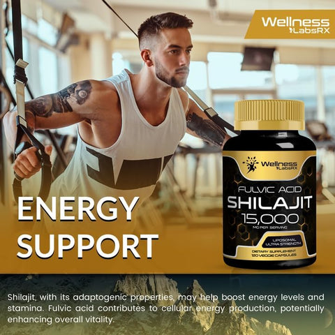 WELLNESS LABSRX - Shilajit Puro Himalaia Orgânico Cápsulas 240 Unidades – 15.000mg – Shilajit para Homens – Marca Shilajit