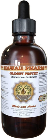 Hawaii Pharm - Glossy Liquid Extract, Tintura de Privet Orgânico Glossy Privet (Ligustrum Lucidum) 4 oz