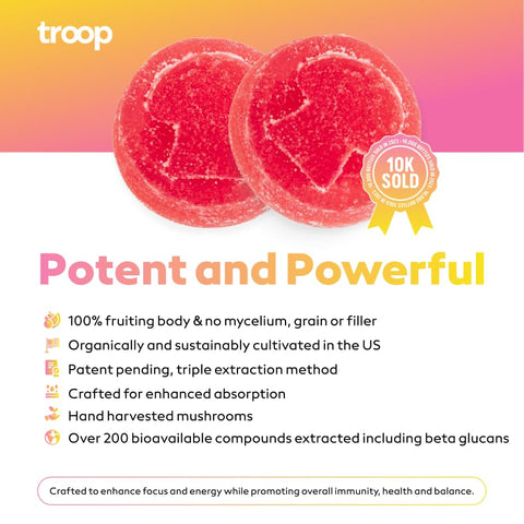 Daily Super 6 Mushroom Blend – Imunidade, Vitalidade, Humor, Equilíbrio, Saúde Intestinal, Energia – Suplemento Restaurador com Blend de Frutas Triplamente Extraídas – Vegano, Delicioso – 100g - Troop