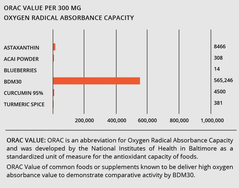 BIOBDMC - NovoCurcumin-BioBDMC30 – 30 Cápsulas – Curcumina Altamente Aprimorada da Próxima Geração