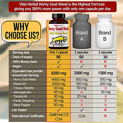 Cápsulas de Horny Goat Weed Equivalente a 8250mg de Força Máxima com Raiz de Maca Tribulus Ashwagandha Tongkat Ali Panax Ginseng para Homens e Mulheres, Aumenta a Energia (90 Unidades) - VITAL HERBAL