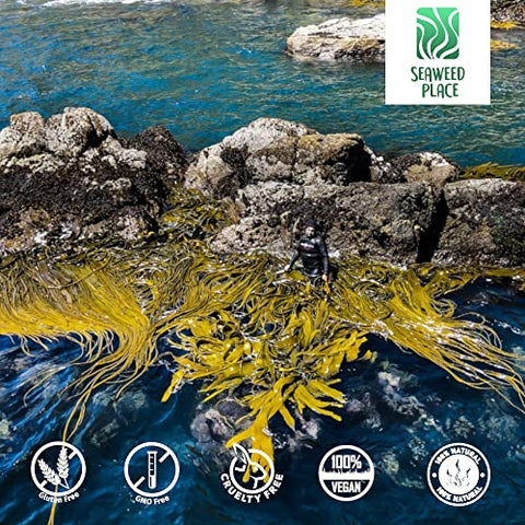 Seaweed Place - Suplemento de Algas Marinhas Patagônicas | Durvillea Antártica | Cochayuyo 100% Orgânico | Proteção Natural