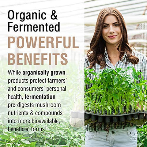 SOLARAY - Solaray Complexo Imune de Cogumelos Fermentados Cultivados Organicamente 600 mg | Suporte para uma Função Imune Saudável | 100 VegCaps