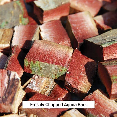 Arjuna em Pó Orgânico – Pó de Casca de Arjuna (Terminalia Arjuna) – Suplemento Tradicional de Ervas para a Função Cardíaca Adequada* – 454 g – Não-OGM, Sustentável - Banyan Botanicals