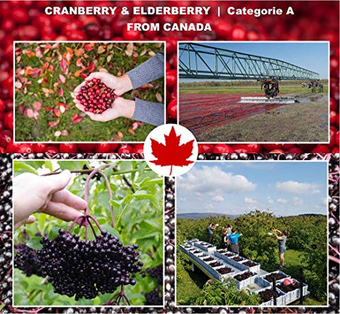 Cranberry: Saúde Urinária. 100% Natural. 60 cápsulas - Immunia