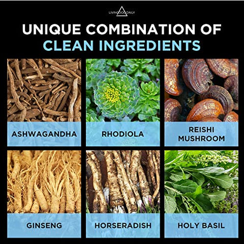 Livingood Daily - Livingood – Suplemento Diário para Alívio do Estresse, 60 Cápsulas Vegetarianas – Cogumelo Reishi