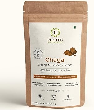 Actives: Extrato de Cogumelo Chaga Siberiano, USDA – Potencialize sua saúde com o poderoso extrato de Chaga Siberiano! - ROOTED