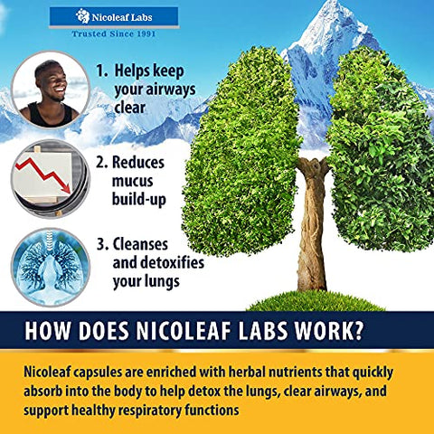 NICOLEAF LABS - Smoker’s Cleanse – Auxílio para Parar de Fumar | Limpeza e Desintoxicação | Marca em Destaque