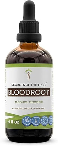Secrets of the Tribe - Segredos da Tribo: Tintura de Raiz-Sangue, Extrato Alcoólico, Gotas Herbais de Alta Potência, Tintura Feita a partir de Sanguinaria Canadensis Cultivada de Forma Responsável, Saúde do Sistema Imunológico 120 ml