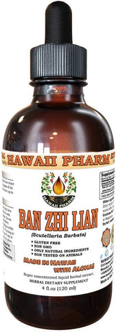 Hawaii Pharm - Ban Zhi Lian Tintura, Erva Skullcap (Scutellaria Barbata) Extrato Líquido, Suplemento Herbal 120 ml