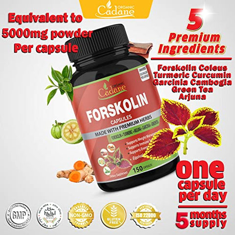 Organic Cadane - Suplemento de Forskolin 5000mg em Cápsulas – 5 Meses de Fornecimento – 150 Cápsulas