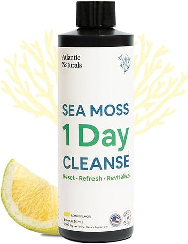 Atlantic Naturals - Desintoxicação Completa do Corpo com Sea Moss 1 Day Cleanse | Apoio Intestinal, Renal, Hepático, Imunológico e Energético | 240 ml