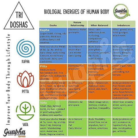 Generic - Ayurveda Kidney Wellnes | Saúde Renal | 100% Natural | Marca Ayurved | 60 cápsulas
