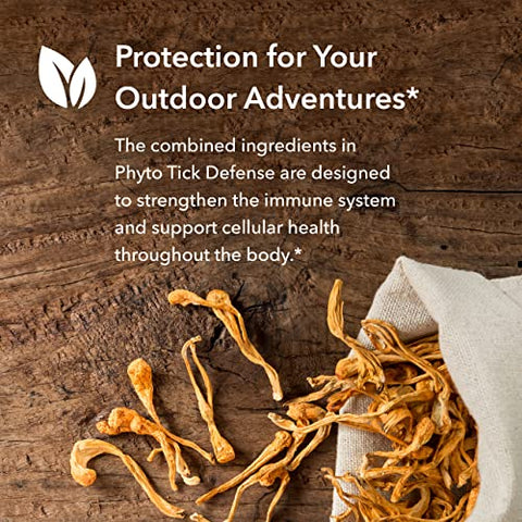 Suplemento Phyto Tick Defense – Complexo de Cogumelos em Cápsulas – Nootrópico com Lions Mane, Cordyceps, Beta Glucans – 120 cápsulas - Allergy Research Group