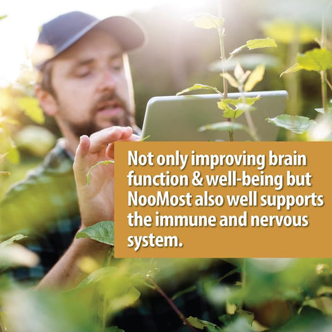 NooMost - Suplemento de Cogumelo do Leão Orgânico em Cápsulas 5400mg, Ginkgo Biloba 120mg – Vegan Lion Mane para Função Cognitiva, Clareza Mental, Foco