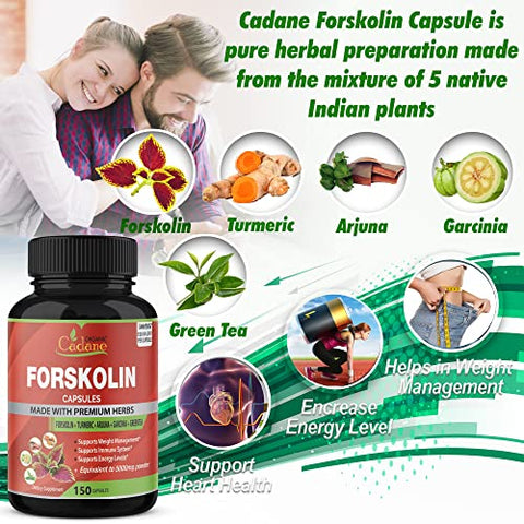 Organic Cadane - Suplemento de Forskolin 5000mg em Cápsulas – 5 Meses de Fornecimento – 150 Cápsulas