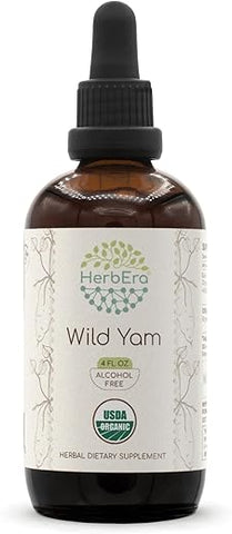 HerbEra - Wild Yam B120 Tintura Orgânica USDA | Extrato Livre de Álcool, Gotas Herbais de Alta Potência | Raiz Seca de Wild Yam (Dioscorea Villosa) Certificada Orgânica (120 ml)