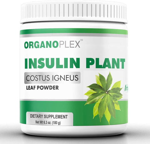 ORGANOPLEX - Pó de Planta Insulina (Costus Igneus), Suplemento 100% Natural, 2 Meses de Fornecimento – Insulina Vegetal