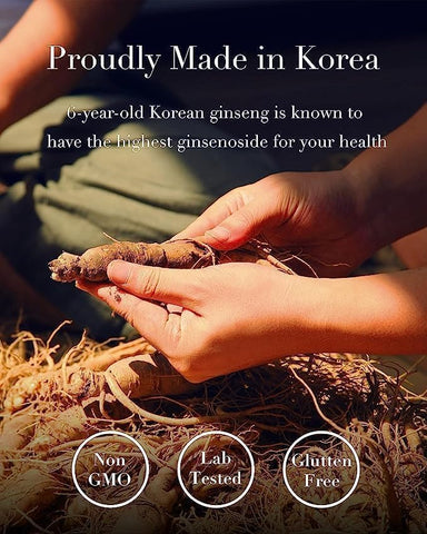 Extrato Concentrado Puro de Ginseng (30g, Embalagem de 1) – Chá de Ginseng Coreano 100% Puro – para Imunidade. Ginsenosídeo 450 mg - ILHWA