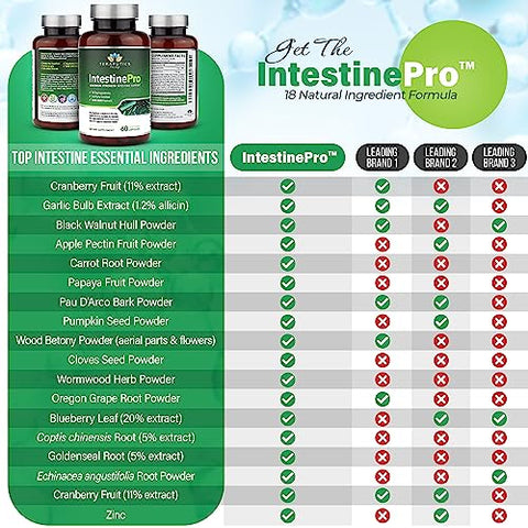 Teraputics - IntestinePro: Suporte Intestinal para Humanos com Artemísia Sem-OGM, Nogueira Preta, Equinácea e mais 15 Ingredientes Premium, 60 Cápsulas Vegetarianas