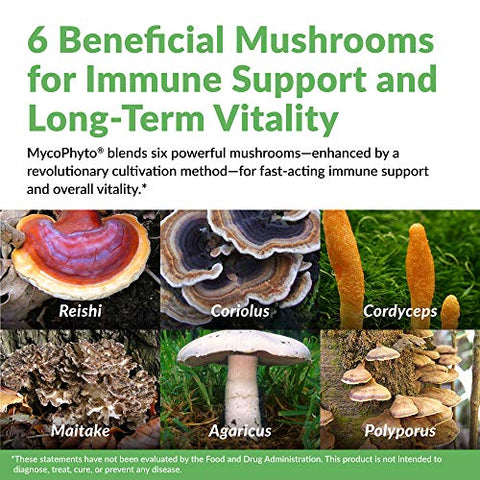 Complexo MycoPhyto – 60 Cápsulas – Suporte ao Sistema Imunológico com Mistura de Cogumelos Reishi, Turkey Tail, Cordyceps, Maitake, Agaricus, Umbellatus – Cardio, Fígado - EcoNugenics